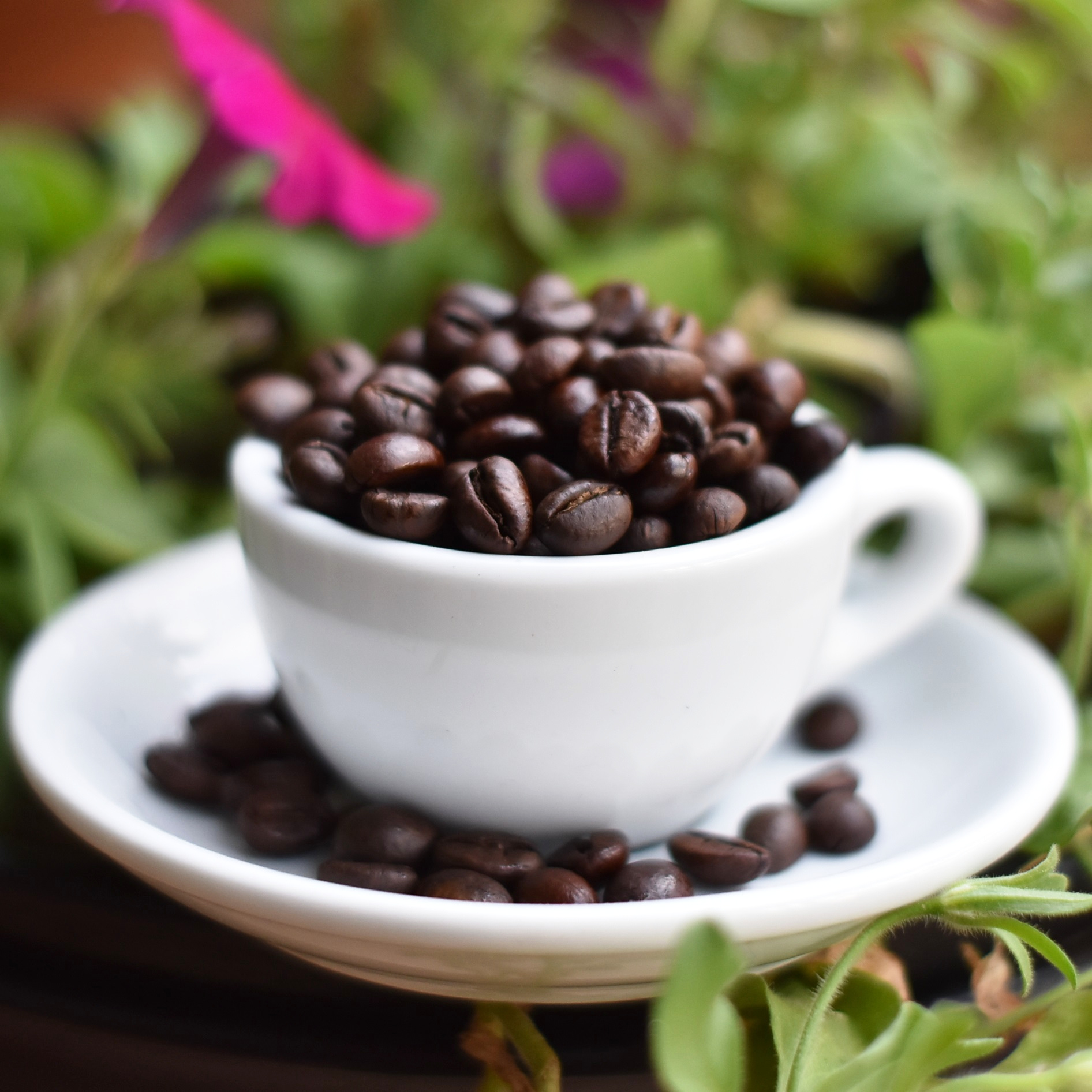 コピ・ロブスタ コーヒー 豆 200g KOPI ROBUSTA KEARIFAN LOKAL